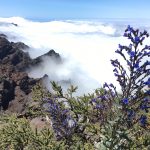 Transvulcania Ultra 2016