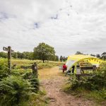 Serpent Trail 100k Race